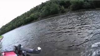 Salmon Fishing Scotland Salmon Fly Fishing on Benchil Tay Perthshire Scotland [upl. by Nevanod]