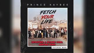 Prince Kaybee  Fetch Your Life ft MsakiDatboifresh amp Kotwane Hikwa Amapiano Remix [upl. by Niamart435]