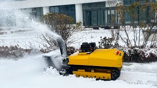 Remote Control Snow Blower [upl. by Weslee987]