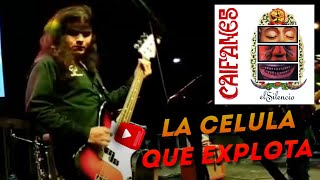 Caifanes  La Célula que Explota  Cover en vivo  Gatos Pardos [upl. by Aitan]