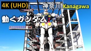 【4K】動くガンダム フル演出 Gundam F00 AI Awakening！ [upl. by Skilken]