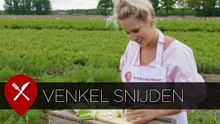 Venkel schoonmaken en snijden [upl. by Greenwood]