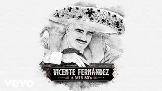 Vicente Fernández  México Lindo y Querido Cover Audio [upl. by Marten]