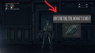 How To Get The Tonsil Stone and What To Do With It in Bloodborne First Floor Lecture Hall Early [upl. by Eimilb]