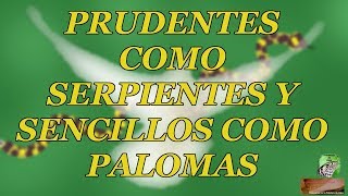 Prudentes como serpientes y sencillos como palomas [upl. by Erdrich]