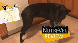 NutriVet Pet Ease Calming Supplement Review [upl. by Haraj]