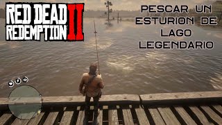 Como pescar al Esturión de Lago Legendario en Red Dead Redemption 2 [upl. by Kcirret]