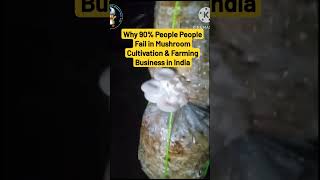 Why 90 people fail in mushroom cultivation and business in India  Problem in Mushroom Farming [upl. by Calendre802]