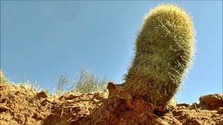 Finding an Abandoned Mine and Dry Waterfalls in Hornblende Canyon [upl. by Lowery]