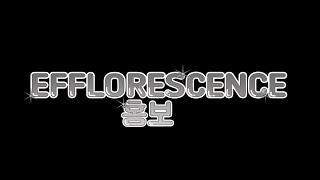 Efflorescence개화 소속사 인원모집 합니다 무페이 [upl. by Narmi]