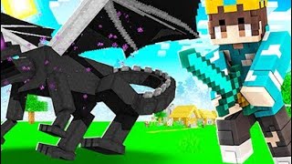 Defeating Ender DRAGON In Minecraft [upl. by Eleda485]