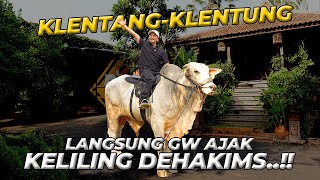 BEGINI REAKSI KLENTANGKLENTUNG BARU DATENG LANGSUNG GUE NAEKIN KELILING DEHAKIMS [upl. by Akcira657]