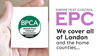 WHY CHOOSE A BPCA ACCREDITED COMPANY  EMPIRE PEST CONTROL LONDON [upl. by Lyrehs249]