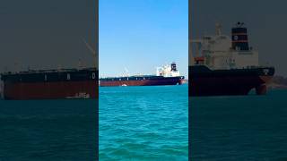 MSC ENTRY  RORO SHIP  LNG SHIP  VLCC TANKER shorts youtube 1000subscriber [upl. by Schiffman]