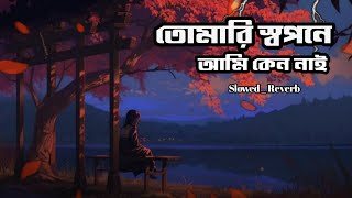 তোমারি স্বপনে আমি কেন নাই  Tomari Sopone Ami Keno Nai  Samz Vai  Slowed  Reverb LOFIMIX420 [upl. by Hale]