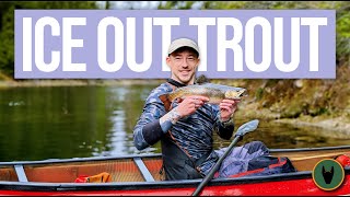 Ice Out Spring Brook Trout Camp  4 Nights in Algonquin Park Chasing Brookies [upl. by Plafker]