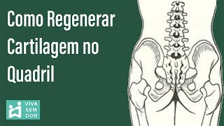 Como regenerar cartilagem no quadril [upl. by Aliab]