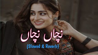 Nachan Nachan 🥀✨ New Saraike Song Slow and Reverb Ameer Niazi [upl. by Sobmalarah913]