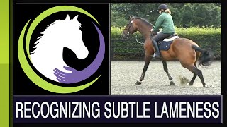 Recognizing Subtle Lameness [upl. by Mattah]