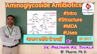 Aminoglycoside Antibiotics  Intro Structure MOA  Streptomycin Kanamycin Neomycin  BP 601T [upl. by Malkah]