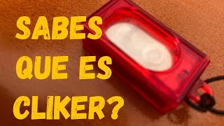 ¿QUÉ ES EL CLIKERS [upl. by Golightly78]