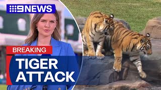 Handler mauled by tiger at Dreamworld  9 News Australia [upl. by Daberath]