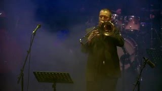 Phil Abraham  Univers Jazz Big Band  Autumn in Forest P AbrahamM Herr [upl. by Ahsert]