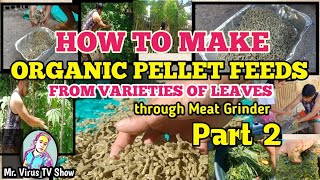 HOW TO MAKE ORGANIC PELLET FEEDS FROM VARIETIES OF LEAVES USING MEAT GRINDER PART 2 [upl. by Marvin703]