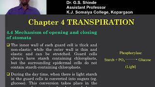 Lecture 10 Chapter 4 Transpiration [upl. by Anilak652]