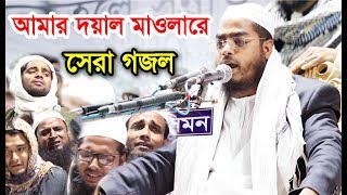 আমার দয়াল মাওলারে হাফিজুর রহমান সিদ্দিকীর সেরা গজল। Hafizur Rahman Siddiki New Gojol 2019 [upl. by Aneelak]