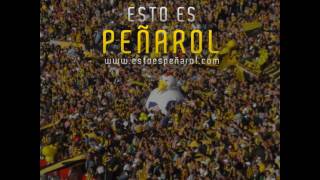 Tema nuevo PEÑAROL Tuyo Siempre  Andres Calamaro [upl. by Beall]