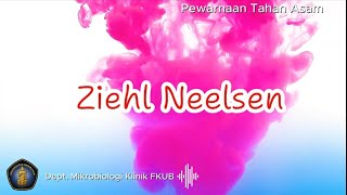 Pewarnaan Basil Tahan Asam Ziehl Neelsen [upl. by Ahtenek]