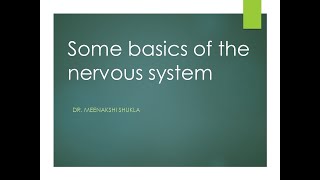 Some basics of the nervous system तंत्रिका तंत्र के कुछ मूल तथ्य [upl. by Oiled140]