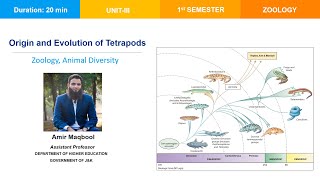 Origin and evolution of TetrapodsZoology 1st sem CUS Paper Animal Diversity [upl. by Eelir]