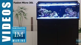 Innovative Marine NUVO Fusion Micro 30L amp Mini 40 Aquarium [upl. by Neelcaj514]