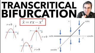 Bifurcations Part 2 Transcritical Bifurcation Laser Model Example [upl. by Anileba]