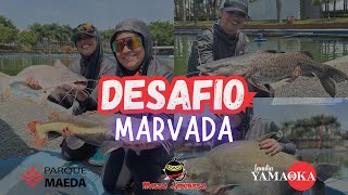 DESAFIO MARVADA NO PARQUE MAEDA [upl. by Ybanrab]