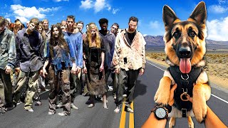 Rescuing a DOG from ZOMBIES Arizona Sunshine 2 [upl. by Ermine]