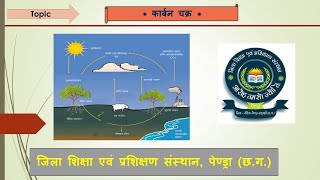 कार्बन चक्र  Carbon cycle By Pushp Sir Diet Pendra [upl. by Retsevlis]