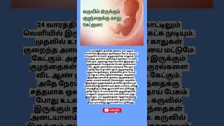 24 வாரத்தில் வயிற்றில் உள்ள குழந்தைக்கு காது கேட்குமா [upl. by Asik]