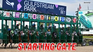 Día de clásicos en Gulfstream Park y Tampa Bay Downs  Análisis EN VIVO [upl. by Amle217]