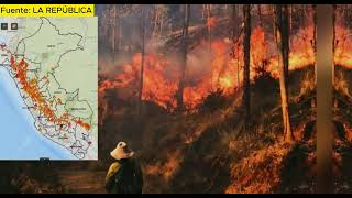 Indeci ha reportado incendios forestales en 22 regiones de Perú en lo que va de 2024 [upl. by Yromem]