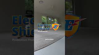 Get the Best Carpet Dry Clean with Electrodry shorts fypyoutube [upl. by Hunger]