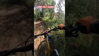 Corriol de l Oriol part1 fun mtb alightmotion [upl. by Sire863]