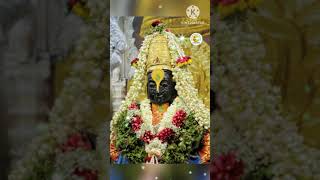 Prabodhini Ekadashi Whatsapp Status [upl. by Amme304]