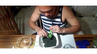 Herbal Tablet Making [upl. by Reniti]