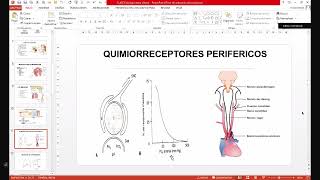 1 Cursillo Fisiología Respiratoria [upl. by Longan]