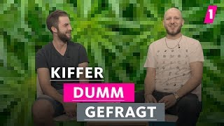 Kiffer haben ihr Leben nicht im Griff  1LIVE Dumm Gefragt [upl. by Jewel]