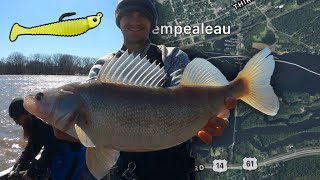 Jigging Mississippi River Walleye [upl. by Elik445]