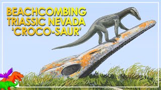 Coastal Crocosaur Pillaged Dead Sea Beasts In Triassic Nevada [upl. by Caprice]